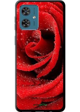 Чехол на motorola moto g54 красная роза "529b-3339-2448"