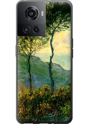 Чехол на oneplus 10r клод моне "1193u-2627-2448"