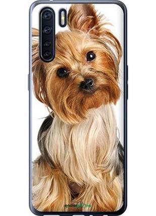Чохол на oppo a91 йоркширський тер'єр із хвостиком "930t-1884-2448"