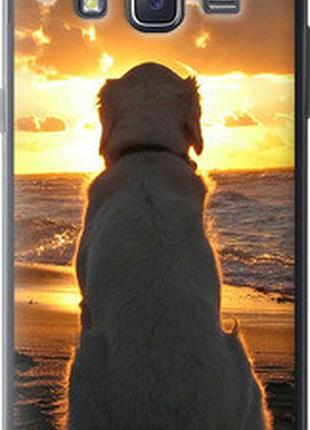 Чехол на samsung galaxy j5 (2015) j500h закат и собака "3966u-100-2448"