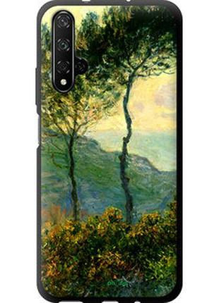 Чехол на huawei honor 20 клод моне "1193b-1697-2448"