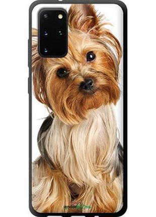Чехол на samsung galaxy s20 plus йоркширский терьер с хвостиком "930b-1822-2448"