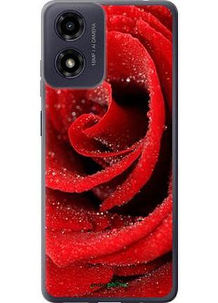 Чехол на motorola moto g24 красная роза "529u-3659-2448"