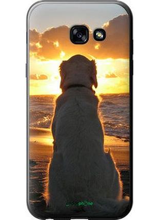 Чохол на samsung galaxy a5 (2017) закот і собака "3966u-444-2448"