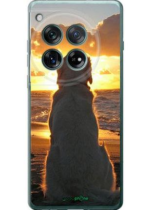 Чохол на oneplus 12 5g захід і собака "3966u-3615-2448"