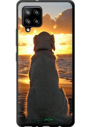 Чехол на samsung galaxy a42 a426b закат и собака "3966b-2098-2448"