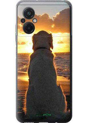 Чехол на xiaomi poco m5 закат и собака "3966u-2767-2448"
