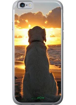 Чехол на iphone 6 закат и собака "3966t-45-2448"