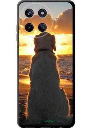 Чехол на realme realme 11 закат и собака "3966b-3120-2448"