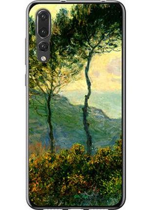 Чехол на huawei p20 pro клод моне "1193t-1470-2448"