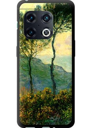 Чехол на oneplus 10 pro клод моне "1193b-2588-2448"
