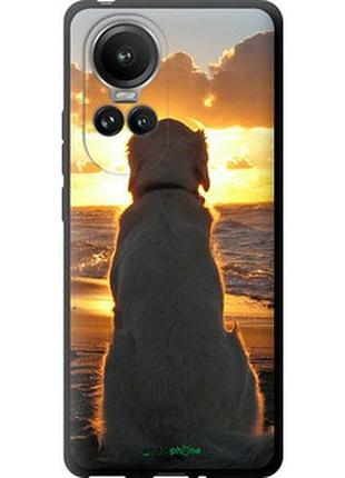 Чехол на oppo reno10 pro закат и собака "3966b-3109-2448"