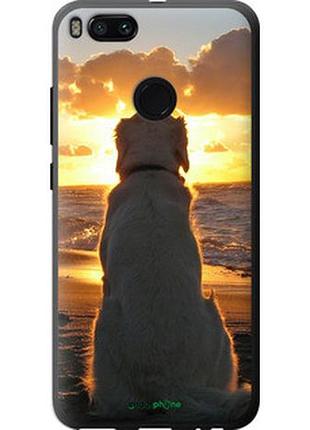 Чехол на xiaomi mi a1 закат и собака "3966u-1132-2448"