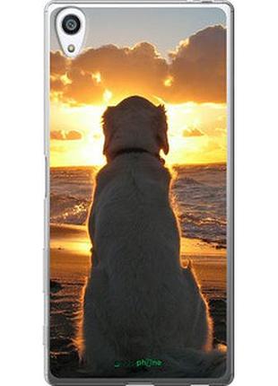 Чехол на sony xperia z5 premium e6883 закат и собака "3966t-345-2448"