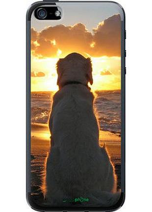 Чехол на iphone se закат и собака "3966t-214-2448"