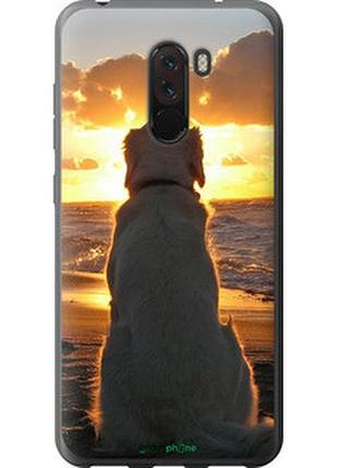 Чехол на xiaomi pocophone f1 закат и собака "3966u-1556-2448"