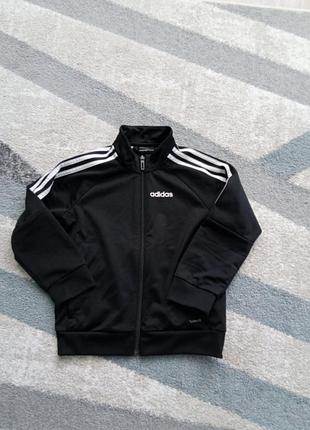 Кофта adidas 2