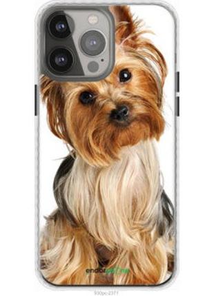 Чехол на iphone 13 pro max йоркширский терьер с хвостиком "930pc-2371-2448"