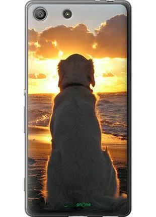 Чехол на sony xperia m5 e5633 закат и собака "3966u-217-2448"