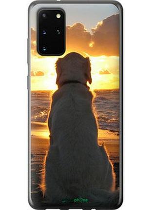 Чехол на samsung galaxy s20 plus закат и собака "3966u-1822-2448"