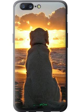 Чехол на oneplus 5 закат и собака "3966u-969-2448"