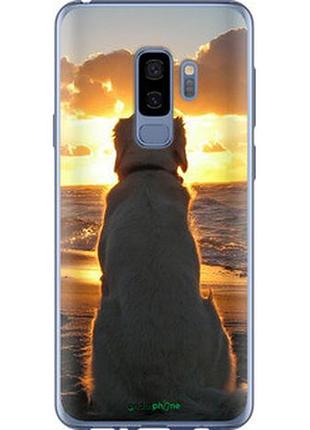 Чехол на samsung galaxy s9 plus закат и собака "3966u-1365-2448"