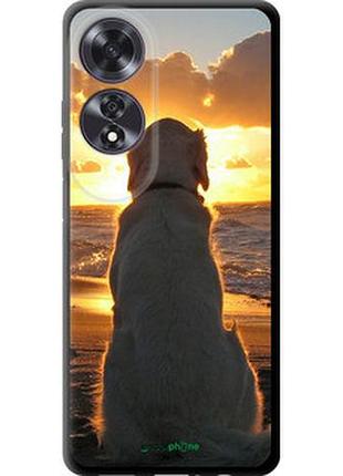 Чехол на oppo a60 4g закат и собака "3966b-3702-2448"