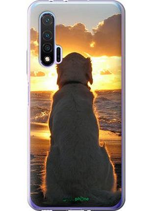 Чехол на huawei nova 6 закат и собака "3966u-1821-2448"