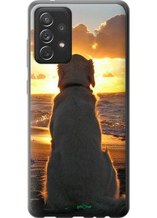 Чехол на samsung galaxy a72 a725f закат и собака "3966t-2247-2448"