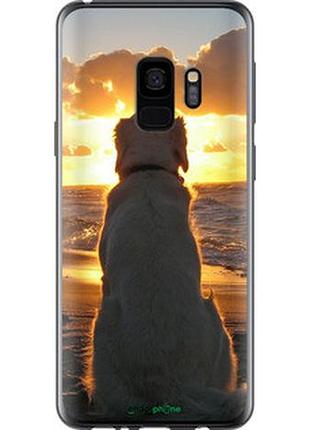 Чехол на samsung galaxy s9 закат и собака "3966t-1355-2448"