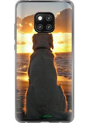 Чехол на huawei mate 20 pro закат и собака "3966t-1567-2448"