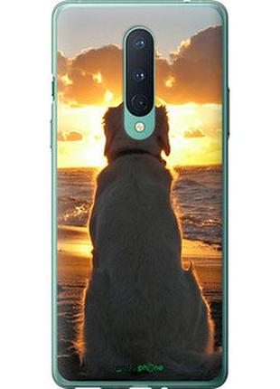 Чехол на oneplus 8 закат и собака "3966t-1902-2448"
