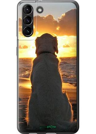 Чехол на samsung galaxy s21 plus закат и собака "3966t-2115-2448"