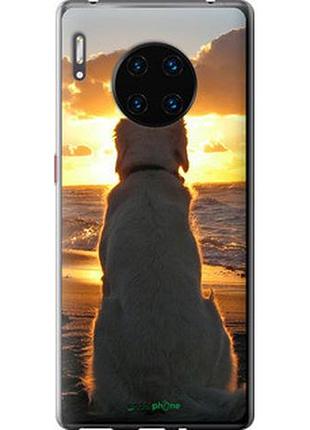 Чохол на huawei mate 30 pro захід і собака "3966u-1796-2448"