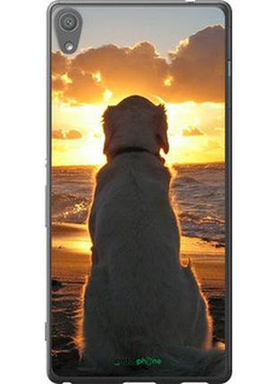 Чехол на sony xperia xa ultra dual f3212 закат и собака "3966u-391-2448"