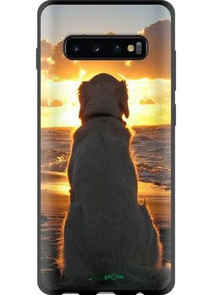Чехол на samsung galaxy s10 plus закат и собака "3966b-1649-2448"
