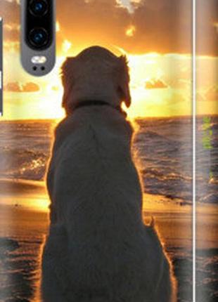 Чехол на huawei p30 закат и собака "3966m-1622-2448"