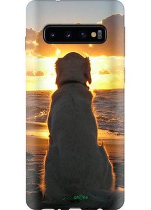 Чехол на samsung galaxy s10 закат и собака "3966sp-1640-2448"