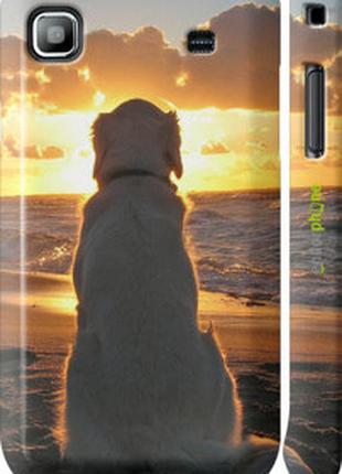 Чехол на samsung galaxy s i9000 закат и собака "3966m-77-2448"