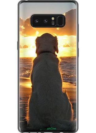 Чехол на samsung galaxy note 8 закат и собака "3966u-1020-2448"