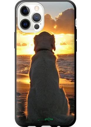 Чехол на iphone 12 pro закат и собака "3966b-2052-2448"