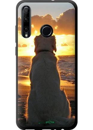 Чохол на huawei honor 20 lite захід і собака "3966b-1832-2448"