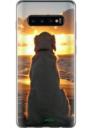 Чехол на samsung galaxy s10 plus закат и собака "3966u-1649-2448"