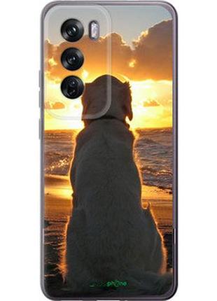 Чехол на oppo reno12 pro 5g закат и собака "3966u-3740-2448"