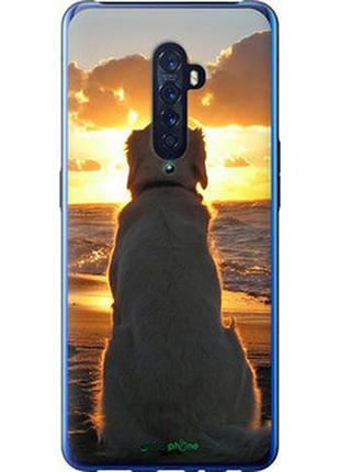 Чехол на oppo reno 2 закат и собака "3966u-1864-2448"