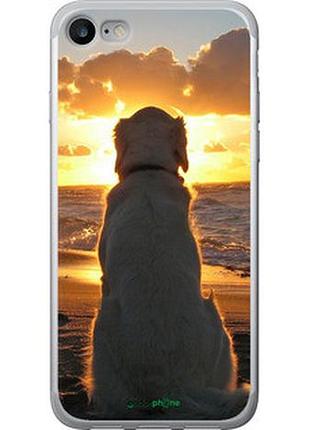 Чохол на iphone se 2020 захід і собака "3966t-2013-2448"