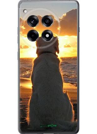 Чохол на oneplus ace 3 5g закат і собака "3966u-3786-2448"