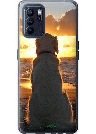 Чехол на oppo reno6 z закат и собака "3966u-2477-2448"