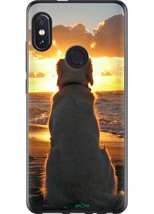 Чехол на xiaomi redmi note 5 pro закат и собака "3966u-1353-2448"