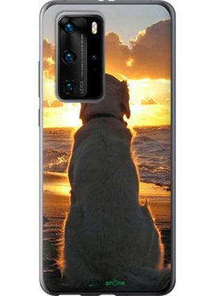 Чехол на huawei p40 pro закат и собака "3966u-1839-2448"